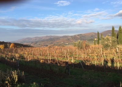 Chianti Landscape